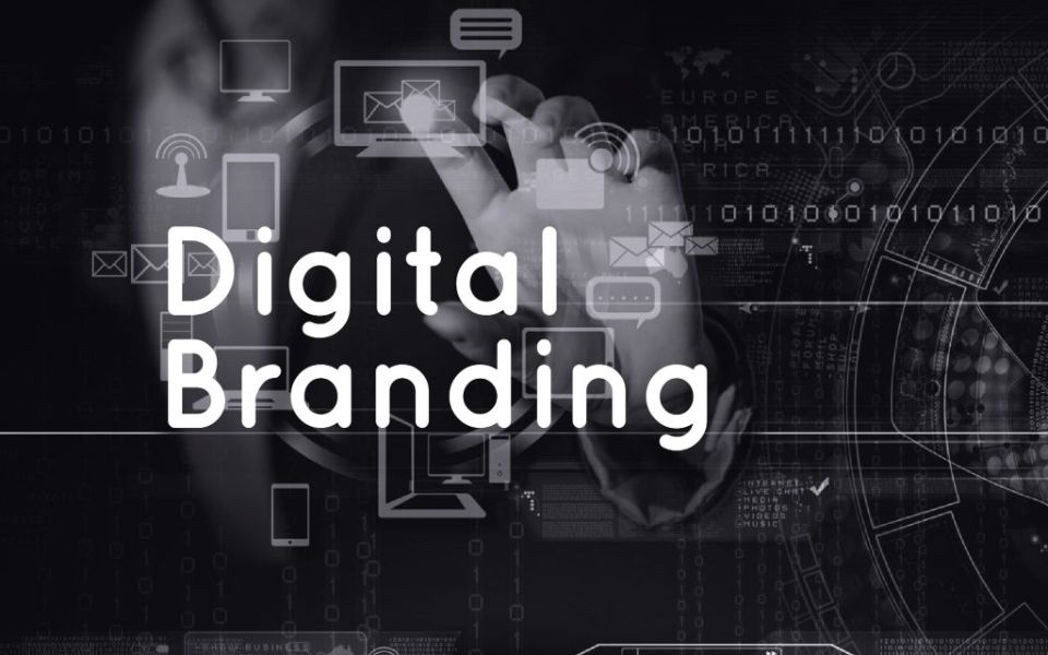 Edanizdadoll? Why This Influencer Matters in Digital Branding and Culture