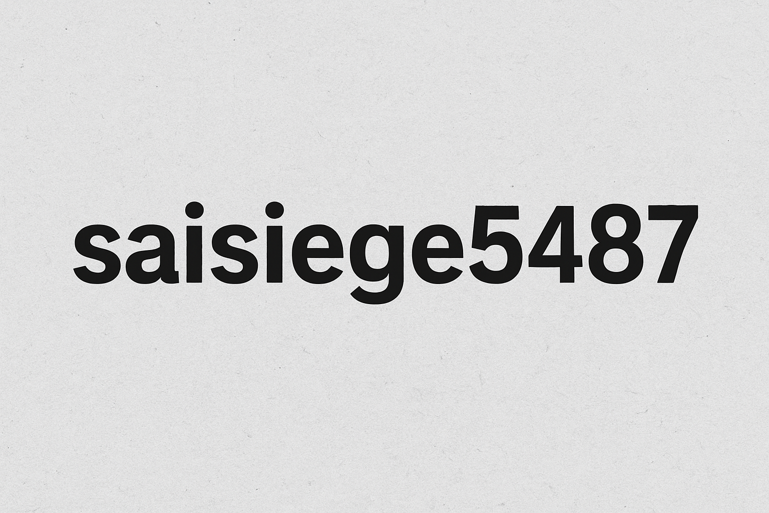 Saisiege5487